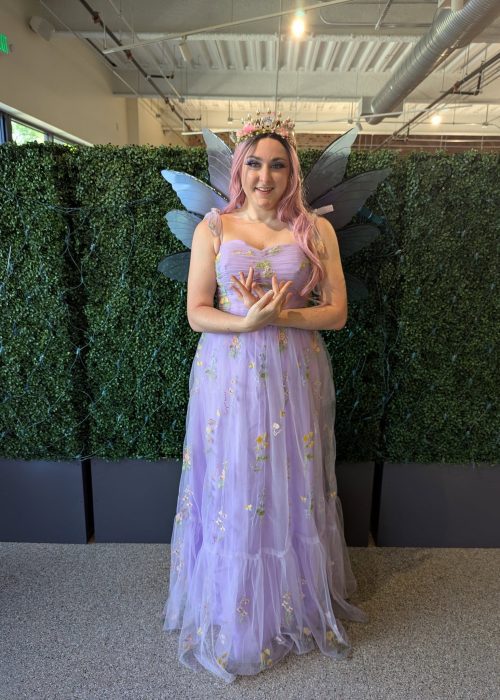 Fairy Aster