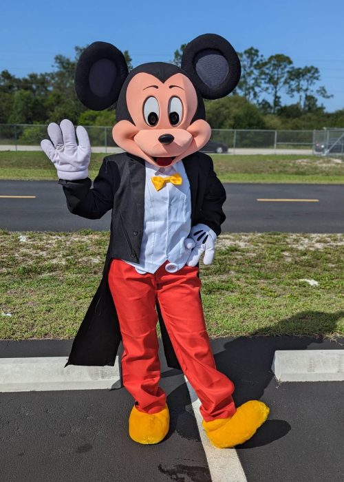 Mr Mouse