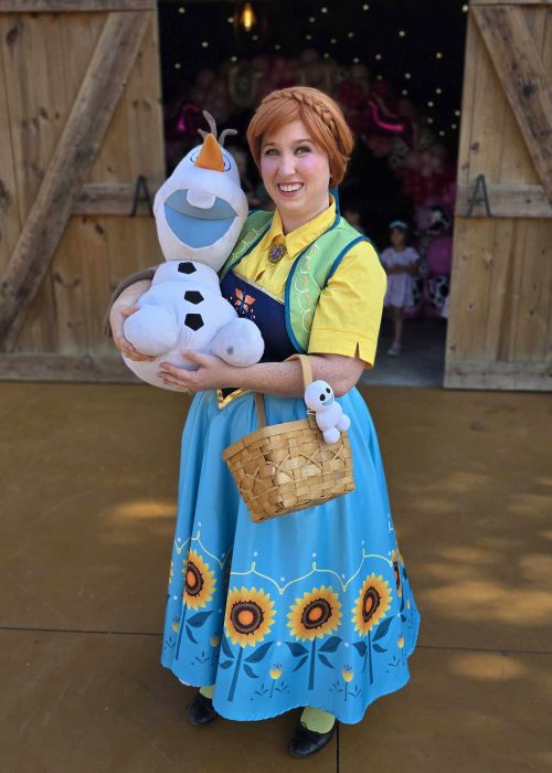 Snow Princess Summer Dress