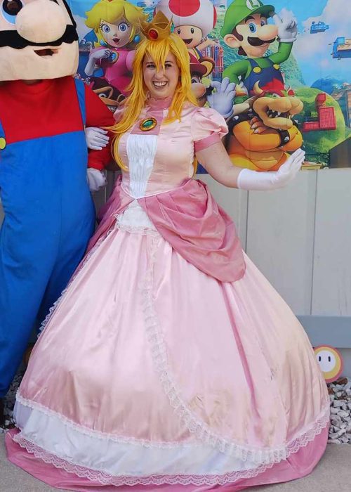 Video Game Princess